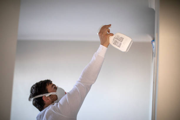 Best Affordable Mold Removal  in Ridgecrest, FL