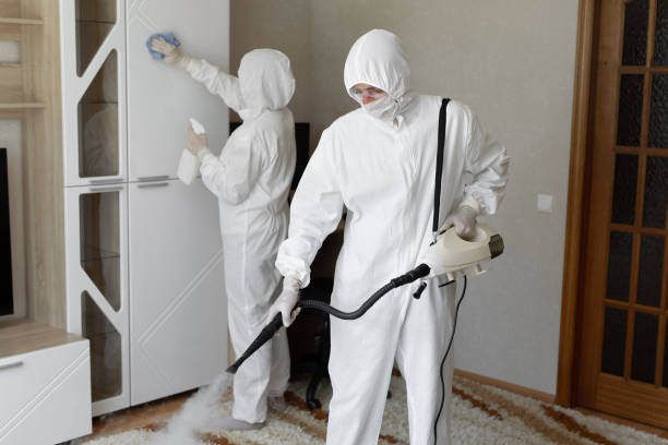 Best Professional Mold Removal  in Ridgecrest, FL