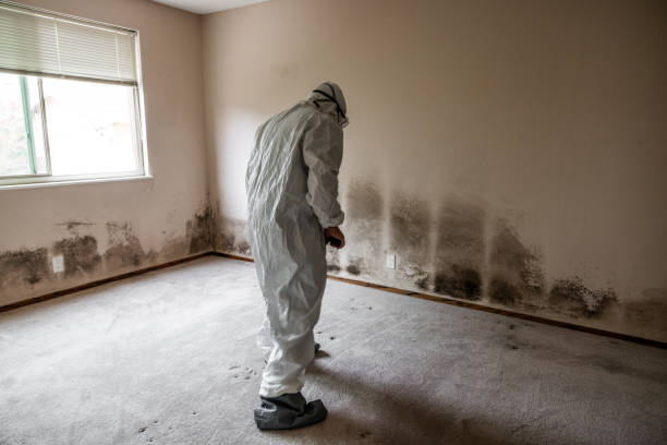 Best Crawl Space Mold Removal  in Ridgecrest, FL