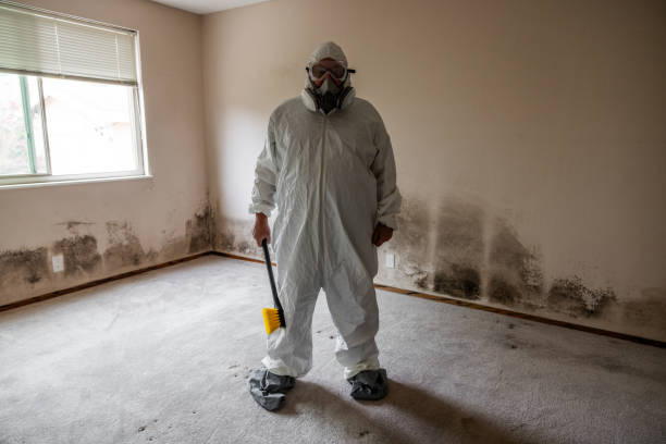 Best Office Mold Removal Services  in Ridgecrest, FL